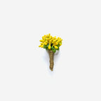 Yellow Baby Flower Pin